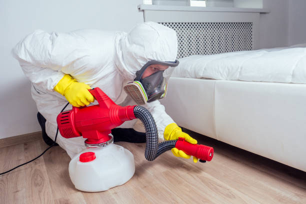 Best Bed Bug Extermination  in Texas City, TX